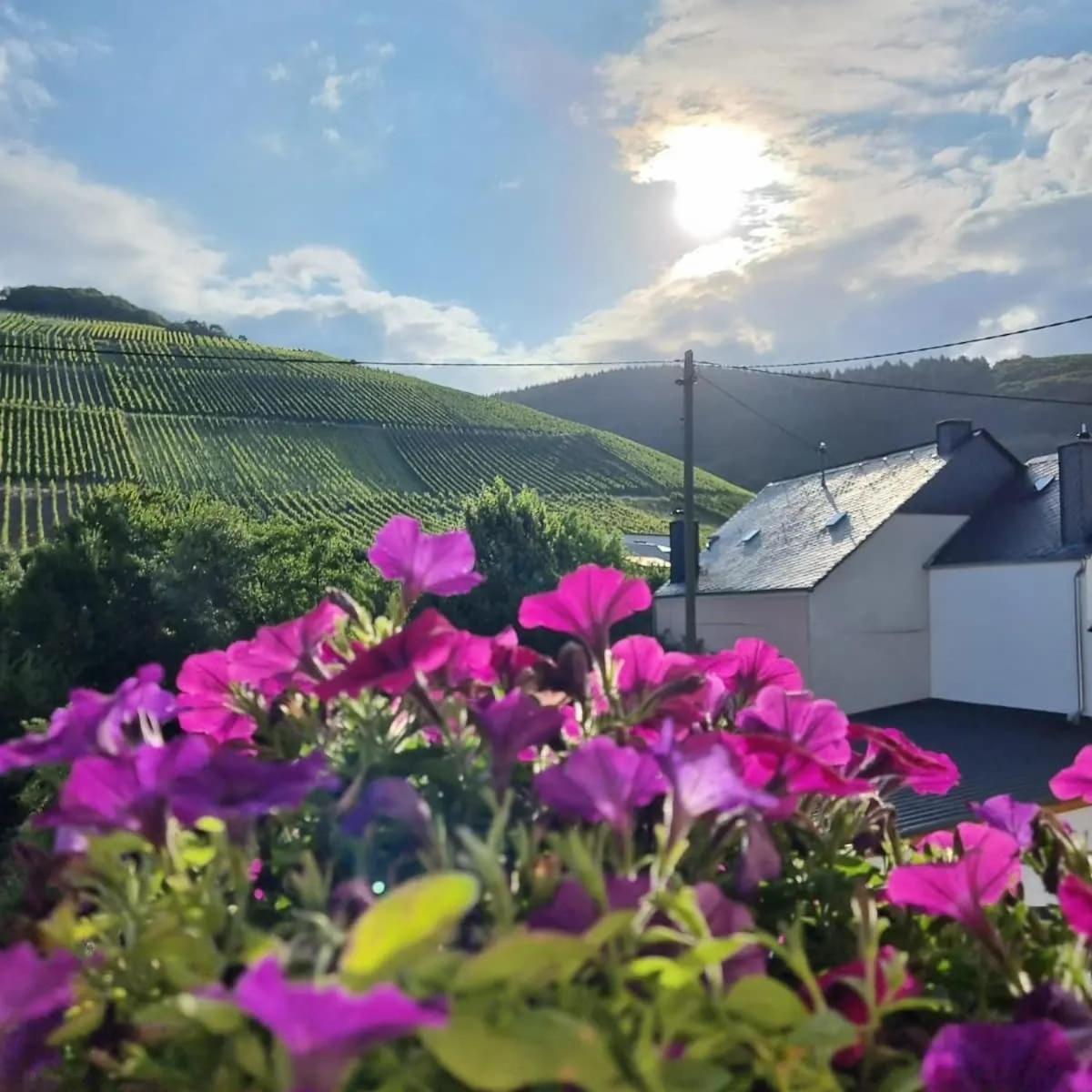 Gasthof Zur Grafschaft Veldenz Экстерьер фото